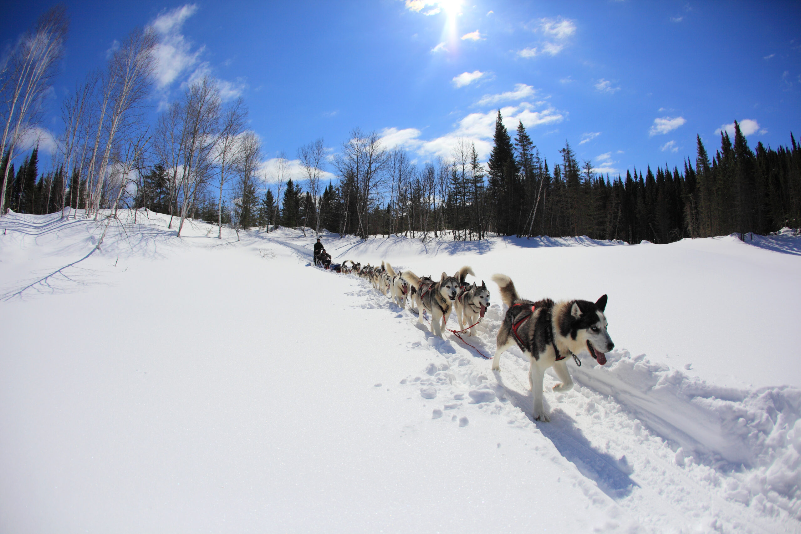 Dolbeau-Mistassini en hiver, c’est l’hiver comme on l’aime.