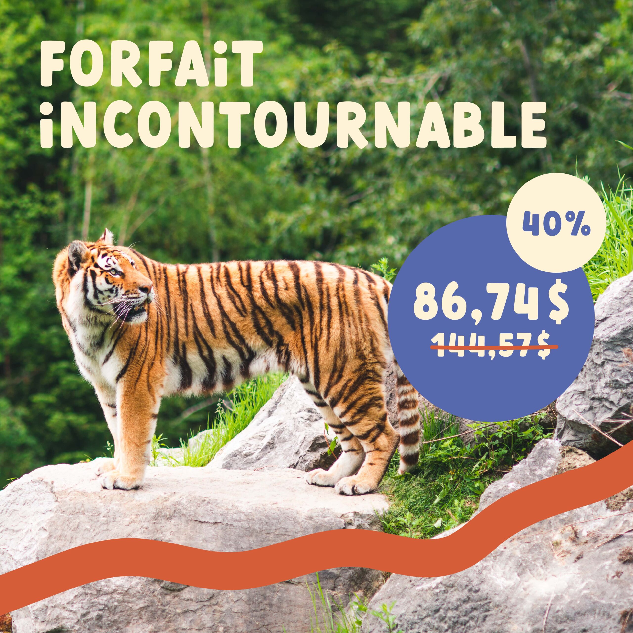 Forfait multi-attrait -incontournable