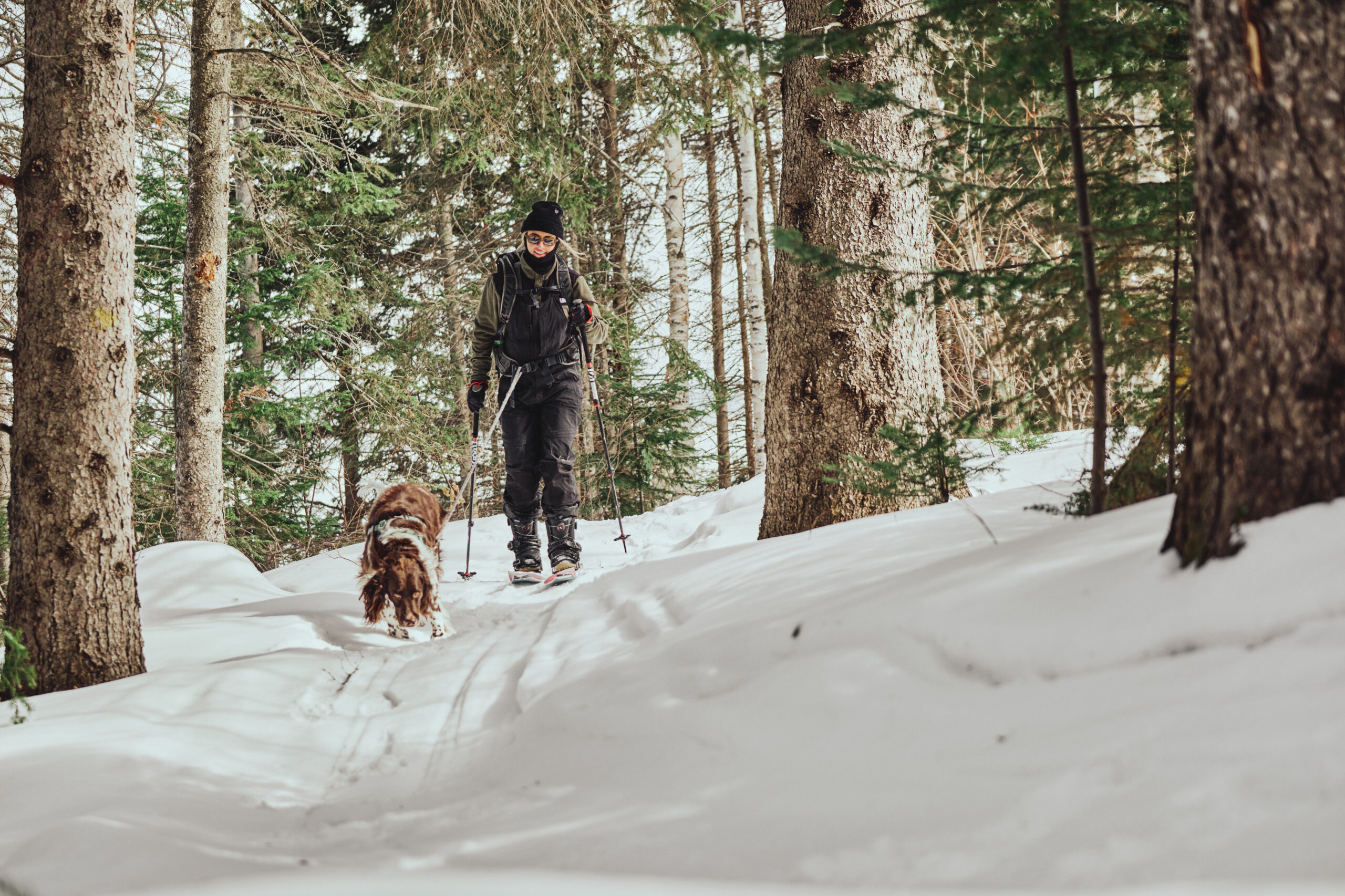 Alma et les environs en hiver