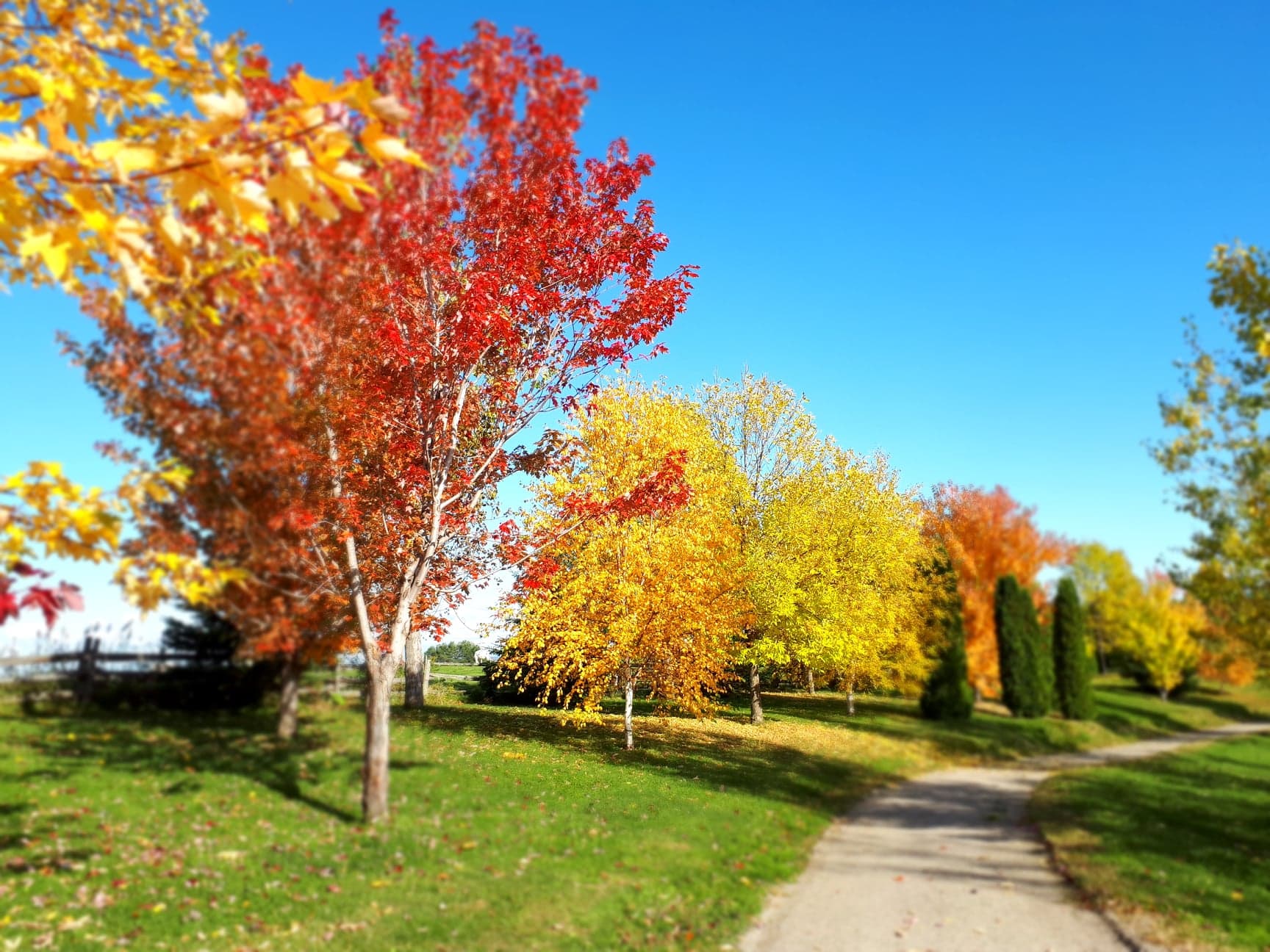 Arboretum de la Presqu’île Croft