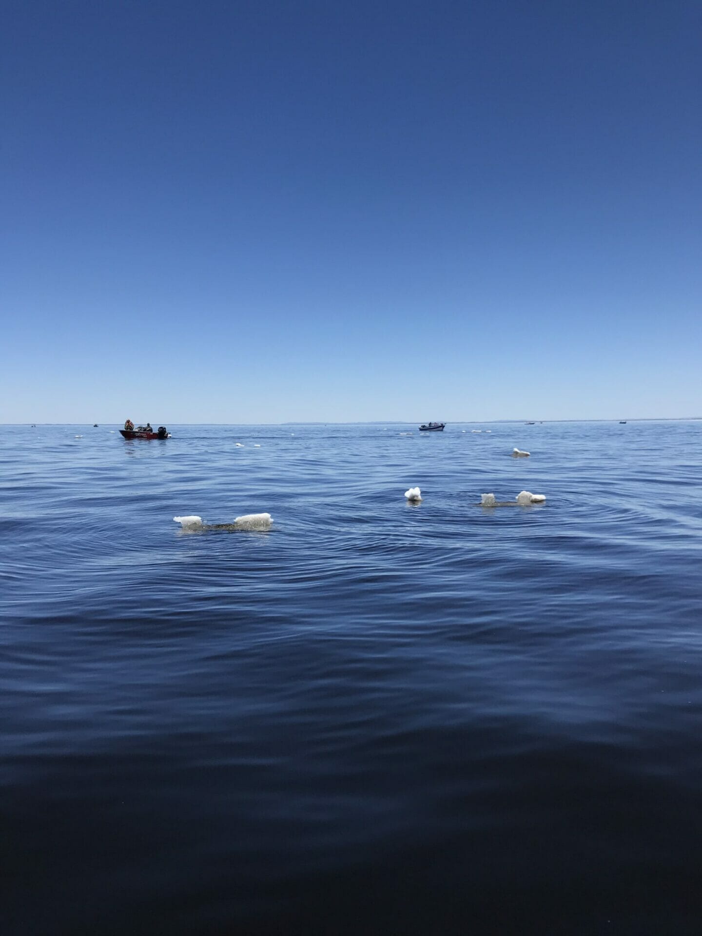 Tout ce que vous devez savoir sur la pêche au doré et à la ouananiche au lac